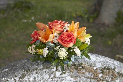 Orange Posy